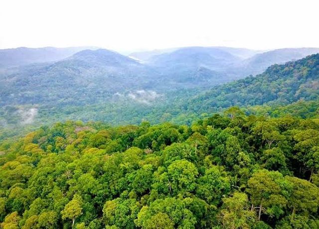Aerial rừng + thung lũng Bù Gia Mập